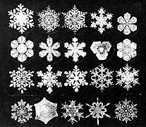 Snowflake Matrix