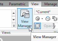 View Manager button